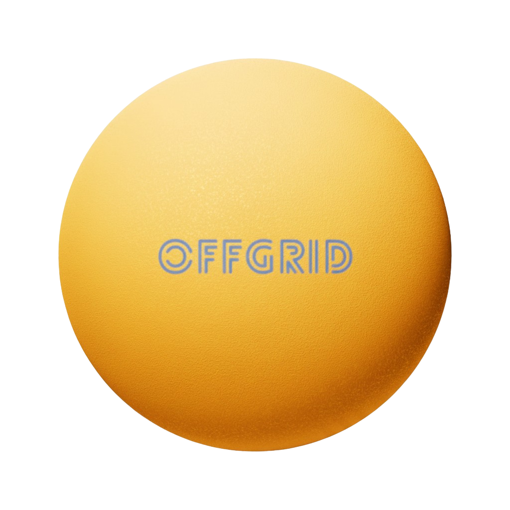 Premium 2-star Ping Pong Balls (6-Pack)